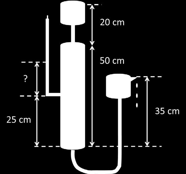 Uppgift 2 En 50 cm lång kolonn var fylld med homogen jord.