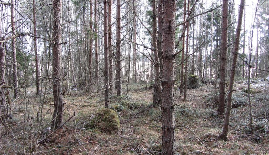 Inom området finns också en hög skogsholme mitt i odlingslandskapet, samt ett större sammanhängande skogsområde, vilket till