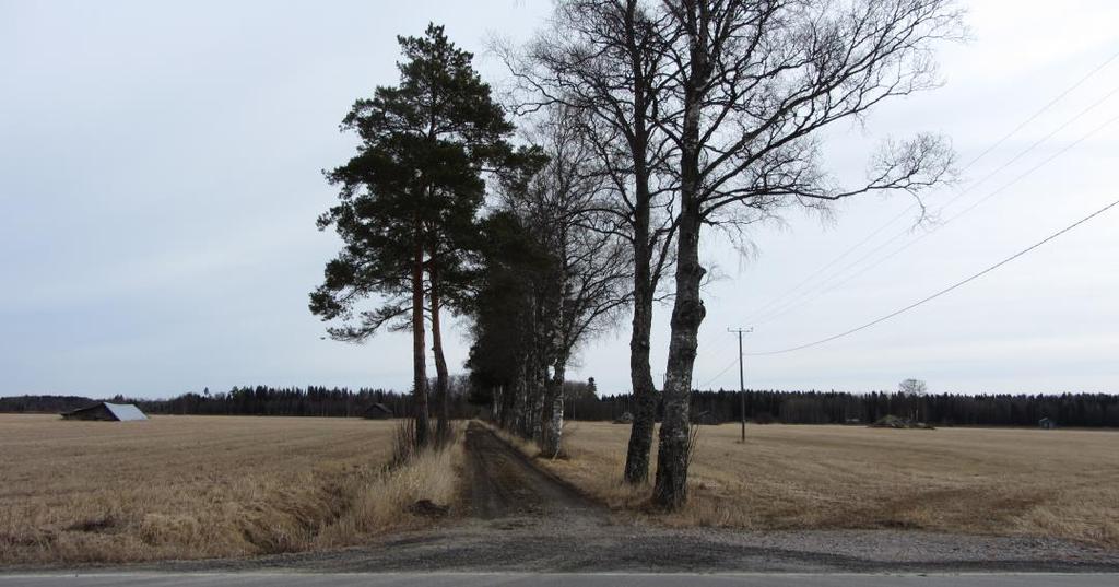 S i d a 7 Bild 6 Gårdsvägen till bondgården, sett från Solf ängsväg.