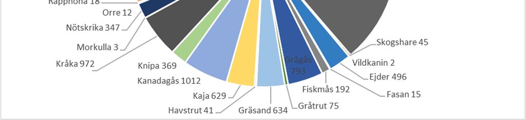 Jaktens mångfald inom Västra Götaland Väst Inom VGV fälls årligen en stor mängd olika viltarter.