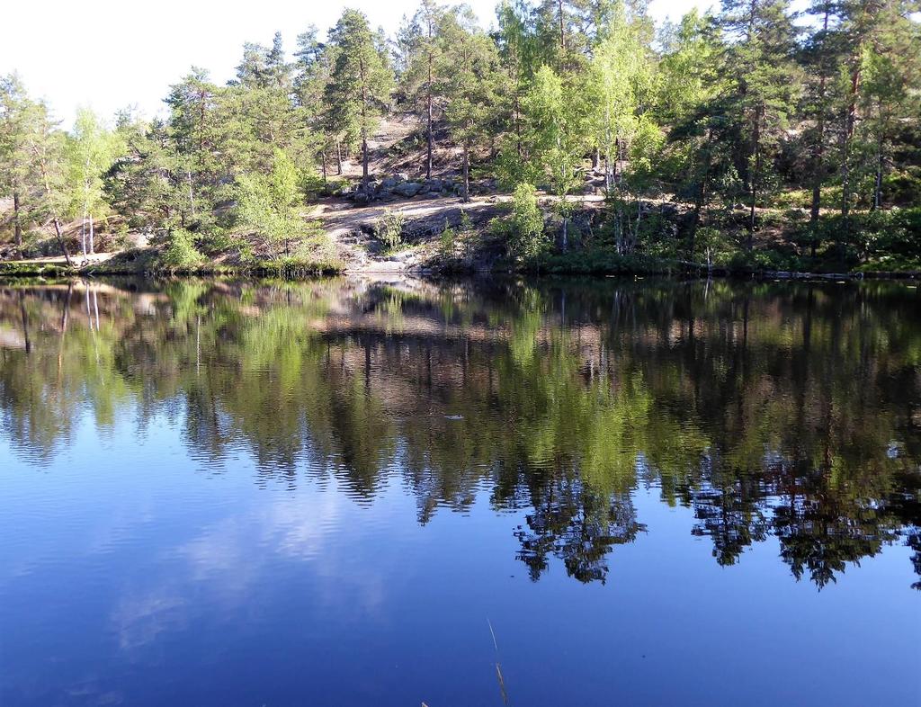 Efter en rast vid Stora Ängsviken gick vi över Danmarks ängar upp till Krokträsken.