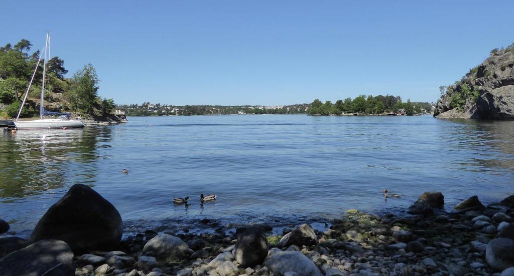 Stora Ängsviken med utsikt över Danmarks holme och Lidingö.