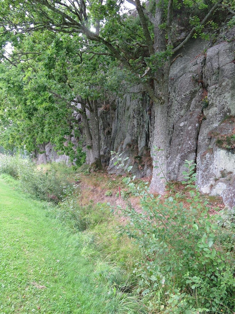 Hultengren, S. 2014. Naturinventering av kuststräckan norr om Strömstad samt området Skee-Strömstad. Rapport, 78 s. Naturcentrum AB på uppdrag av Strömstads kommun. Höggren, M. 2011.