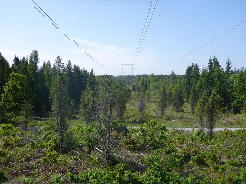 NATURVÄRDESINVENTERING PLANERAD 400 KV LEDNING