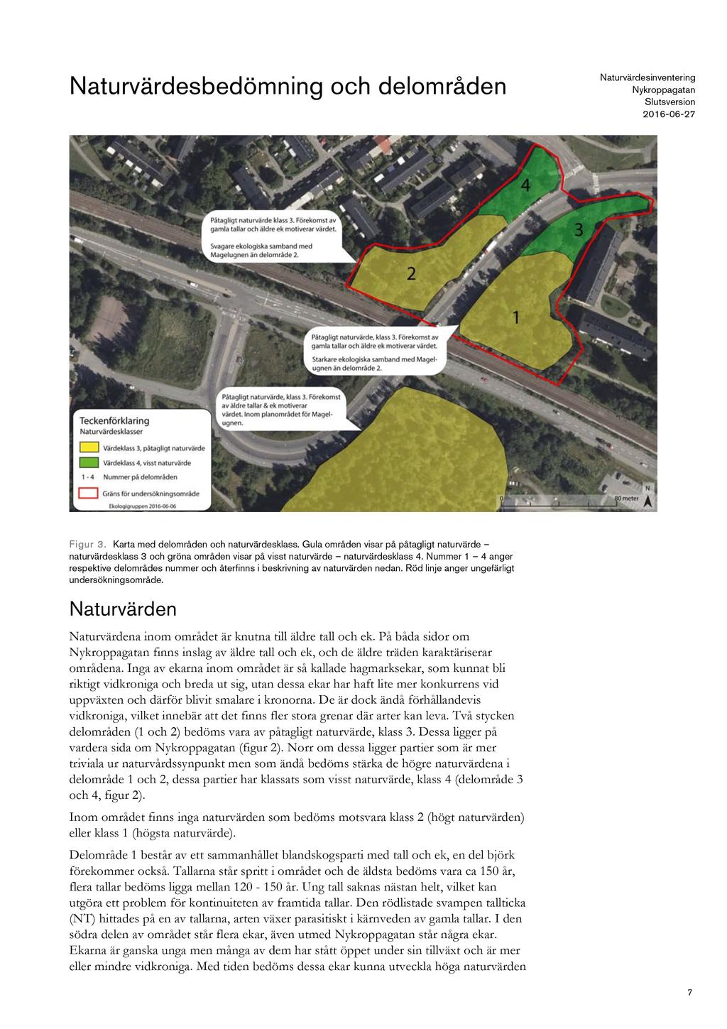 Naturvärdesbedömning och delområden Slut sversion 2016-06 - 2 7 Figur 3. Karta med delområden och naturvärdesklass.