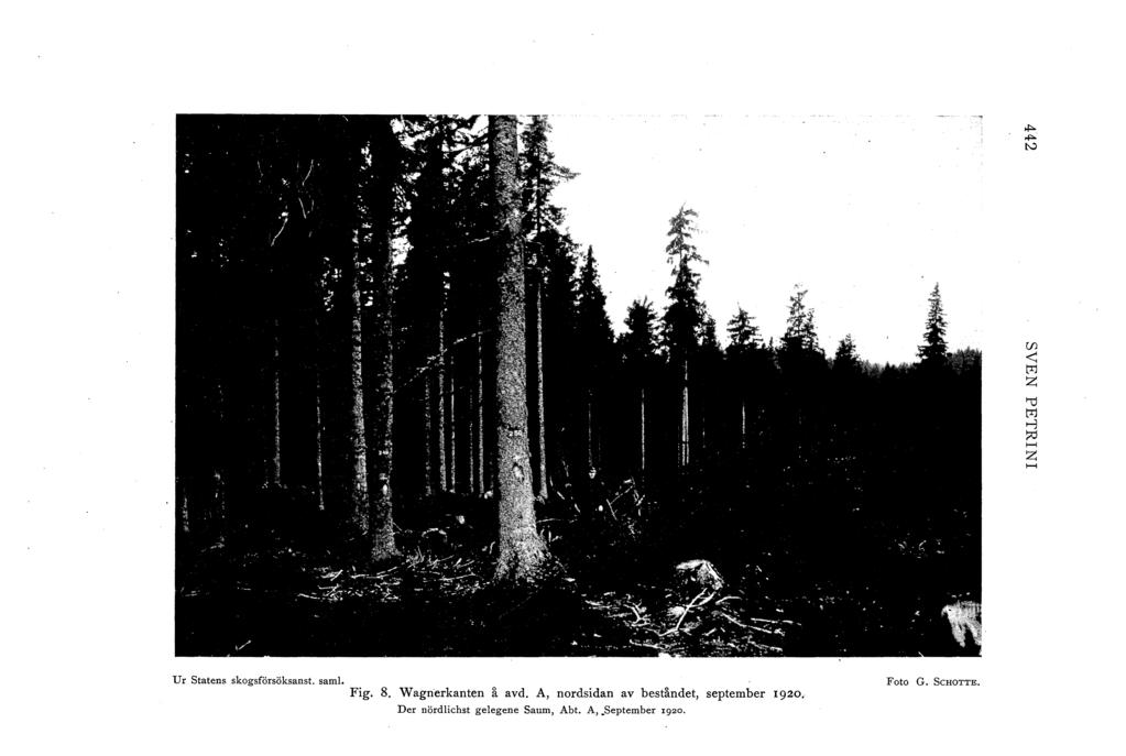 ,j:> ""'" tv [fj < tri z 'U tri >-e ~ H z H U r Statens skogsförsöksanst. sam. Fig. 8. Wagnerkanten å avd.