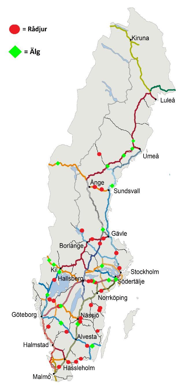 4 Resultat Resultat för beräkningar av förseningskostnader för viltolyckor saknas i detta arbete. Detta beror på att det varit svårt att få ut data kring olyckorna.