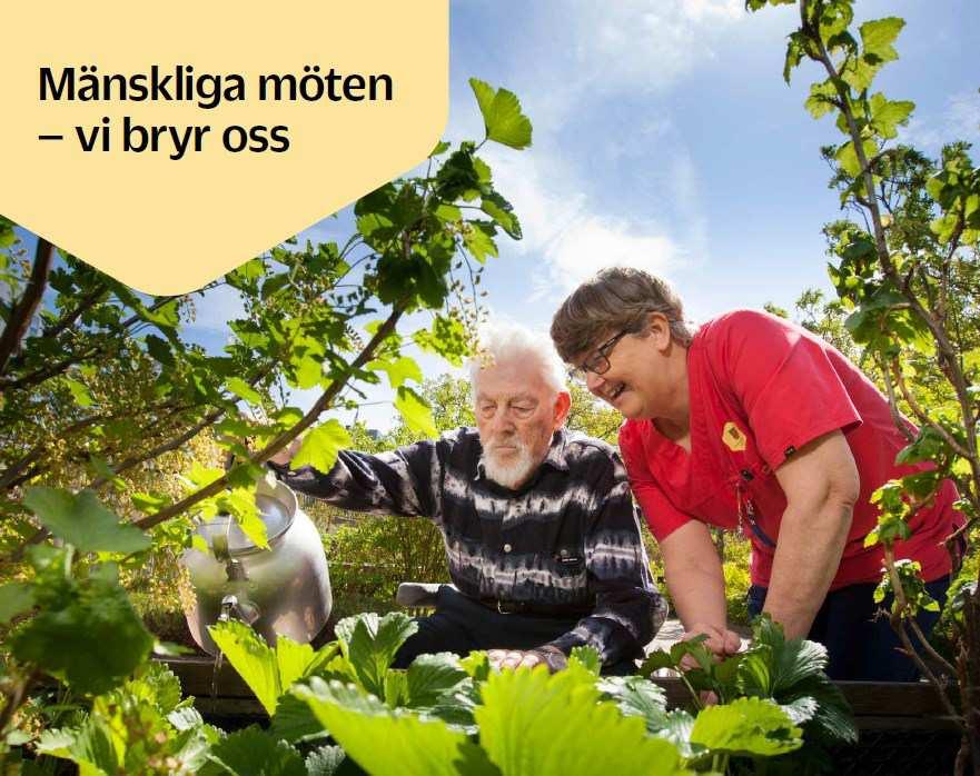 Äldrenämnden Verksamhetsberättelse