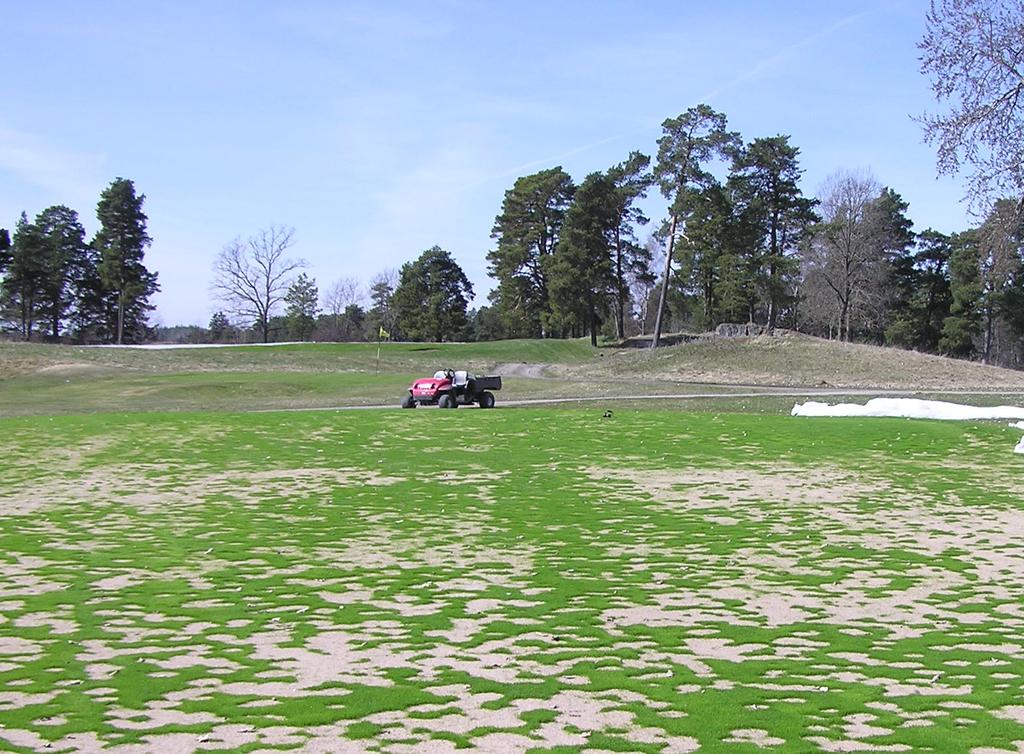 HANDBOOK TURF GRA WINTER URVIVAL VINTERJUKDOMAR PÅ GRÄ Biotiska vinterskador Foto: Agnar Kvalbein ammandrag Det är flera svamparter som trivs och skadar gräs vid låga temperaturer.