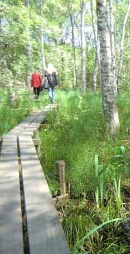 Inriktningsprogram för friluftsområdet Lida Riksten, 2006 Grönt aktivitetsrum Storstadsnaturen utanför, i direkt anslutning till stadsbygden har en uppgift att fylla som aktivitetsrum.