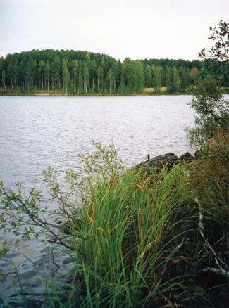 Metaller Hela Kolbäcksåns vattensystem är påverkat av metaller från gruv- och metallindustri i området.