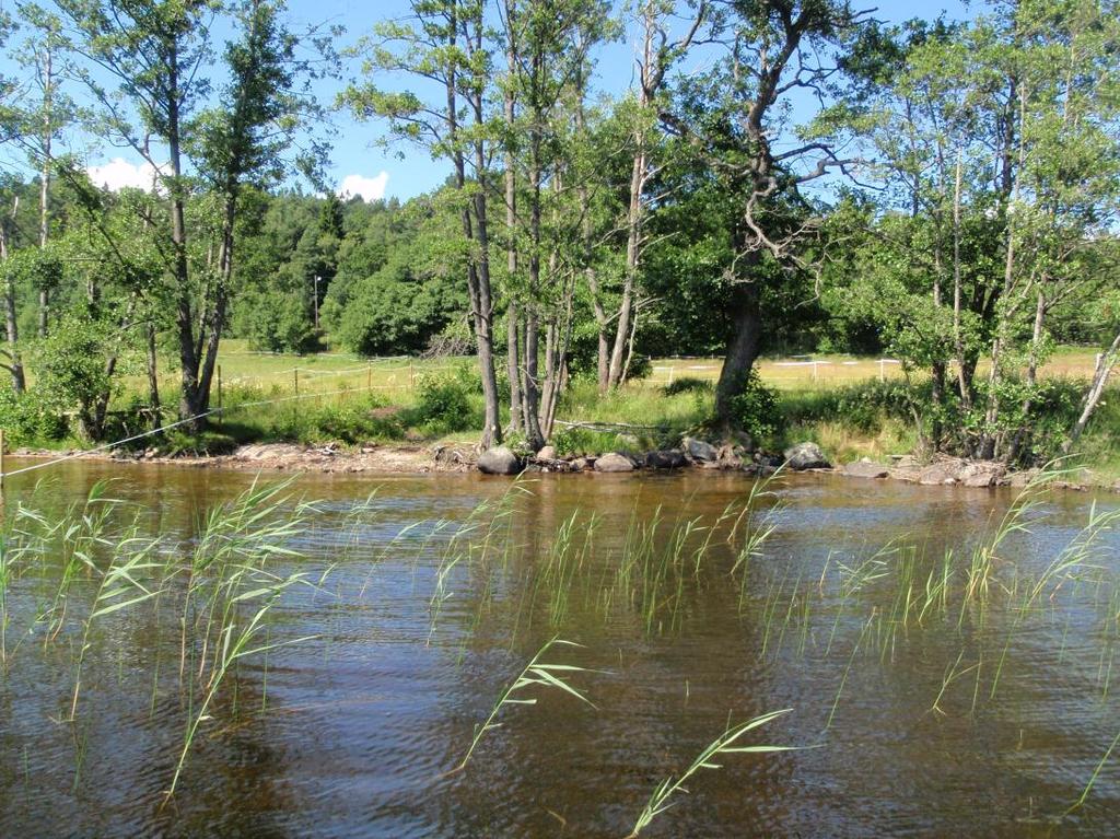 Landvettersjön