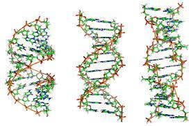 biologiskt material?