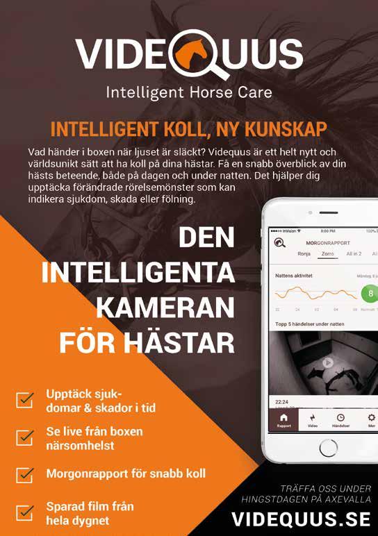 Intervjuer Veijo Heisknen Nouvelle Felii (lopp ) är en helt oky häst utn tt för den skull vr någon riktig stjärn. Hon hr ett br läge här oh sk kunn få en fin res, hon är dok inte jättesnbb iväg.