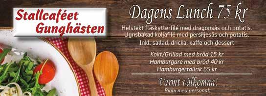 Strt : Bnkod b Stllféet Gunghästens lopp -årig oh äldre. -. kr. m. Autostrt. Pris:.-.-.-.-.-.- (.)-(.) kr. Hederspris till segrnde hästs ägre. MANGO MADNESS : *, M, AM,fu s.