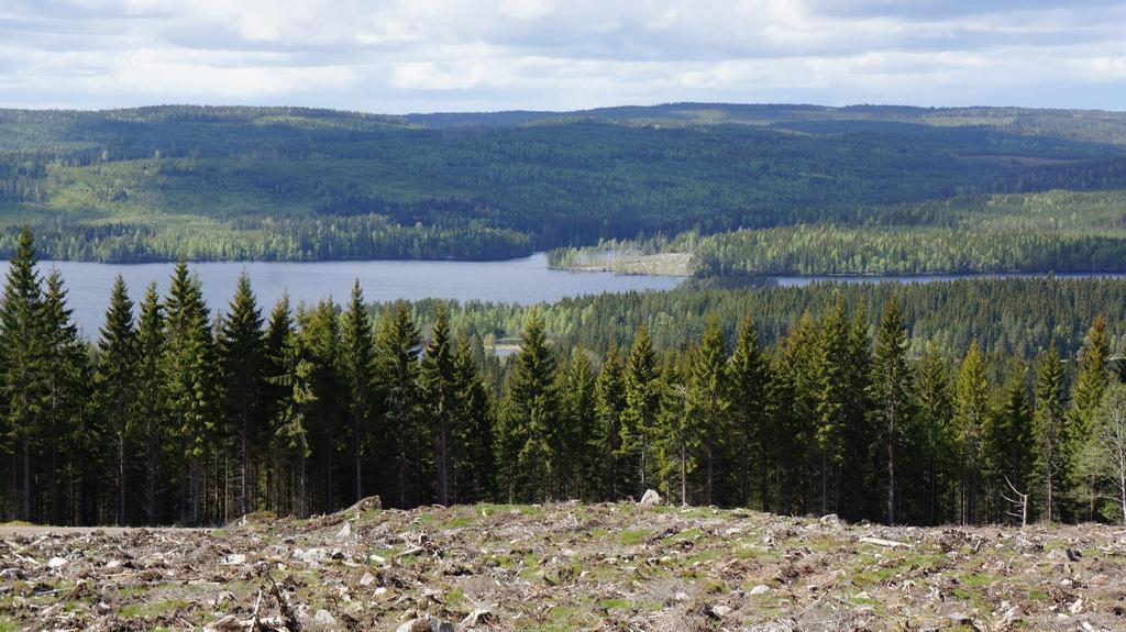 Syfte Att anpassa skogsbruk och naturvård till ett