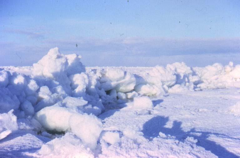 Då isen driver sydvästvart hakar isflaken fast vid de yttre öarna och över grundområden strax utanför fastiskanten. Skillnader i isdriftens hastighet medför vallbildning.
