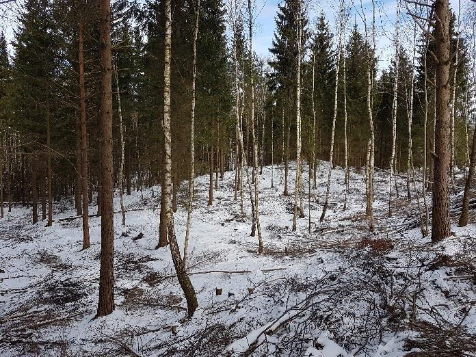 Sydväst om alternativ 3 finns tre bostadshus. Marken ägs av kommunen.