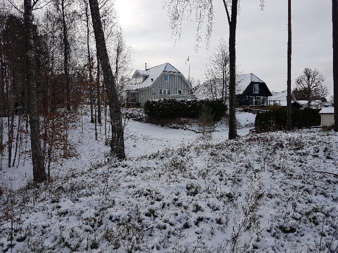 Nedsjöns sydvästra del i det område där sjön börjar