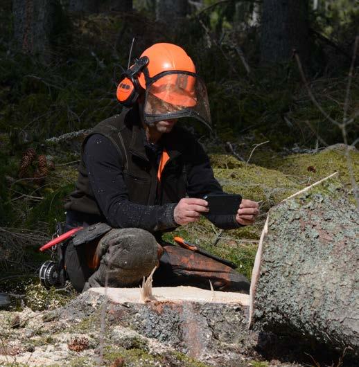 stockändar.