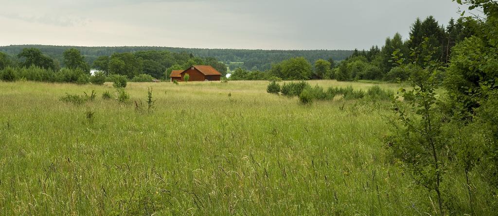 Denna del av Uppsalaåsen är ett dominerande inslag i landskapet. Som störst är åsen 45 m hög och 400 m bred.