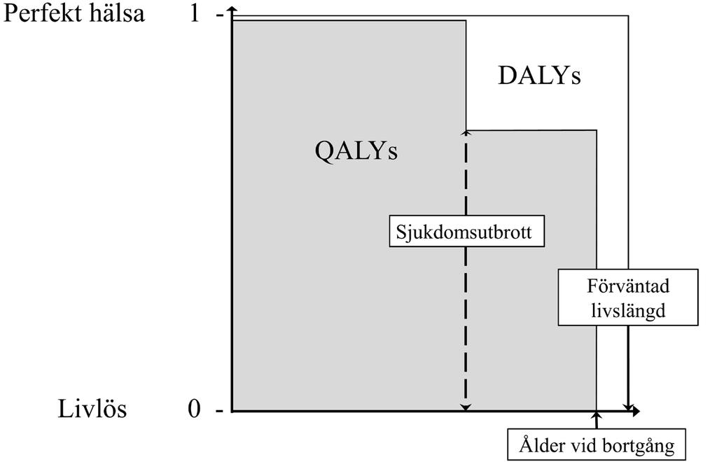 Figur 2 Konceptuell relation mellan DALYs och QALYs. Vit yta representerar DALYs och grå yta representerar QALYs upplevda under en livstid. Anpassad från Robberstad (2009).