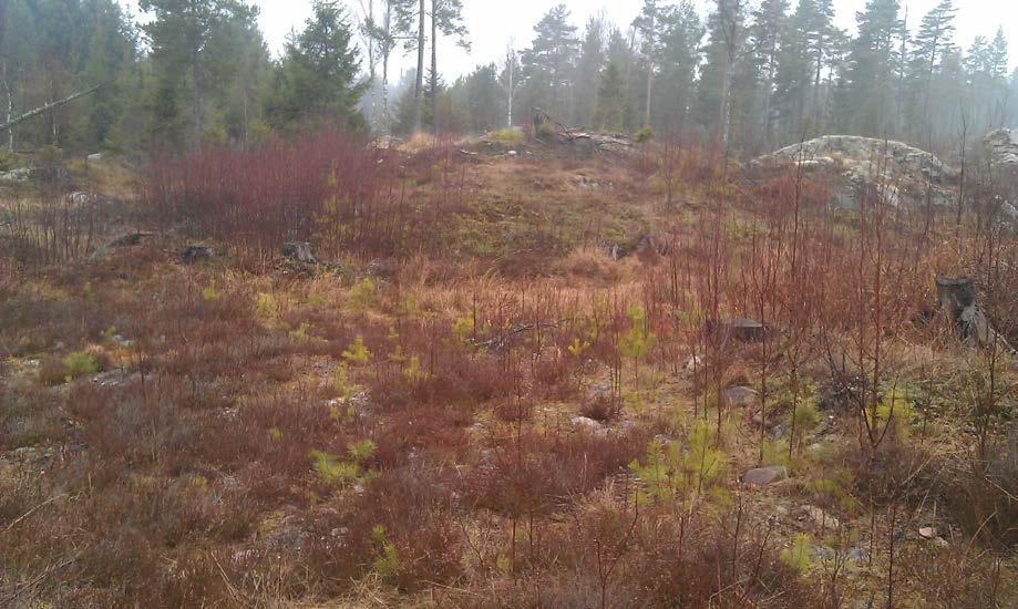 i Tösse socken, Åmål kommun Arkeologisk utredning Inom fastigheten 