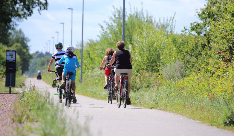 Språkstörning eller språklig sårbarhet?