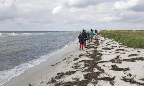 Lååång promenad ut på Revlarna. Men där ute väntar belöningen; 17 arter vadare! Foto: Pirkko Hooli strandängar mellan Foteviken och Höllviken.