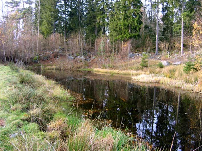 39. Damm väst-nordväst om Åbyberg Objektet utgörs av ett dämt dike/källflöde som bildar en mindre damm i kanten av en vallodling.