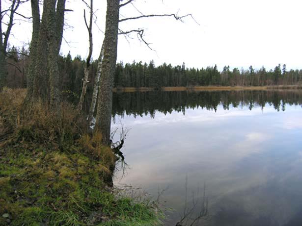 56. Frisksjön Frisksjön är undersökningsområdets enda större sjö. Sjön har ett medeldjup på cirka 2 m och ett maxdjup på cirka 3 m. Sjöns vattenyta är belägen ungefär 1,5 m över havet.