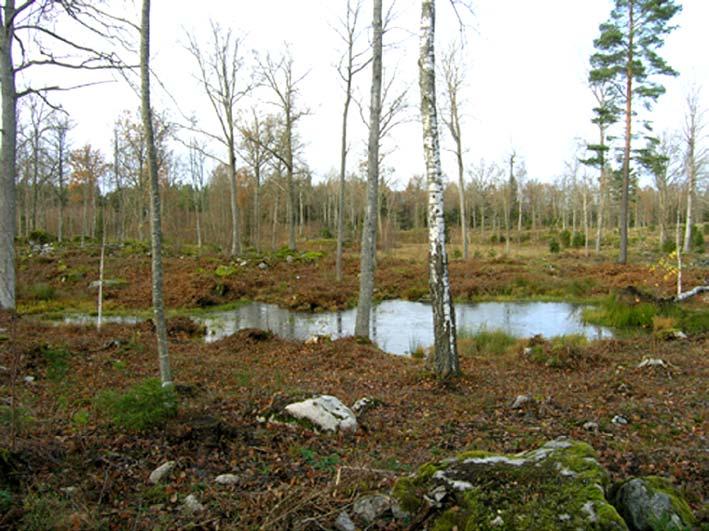 83. Småvatten i restaurerad betesmark väst-nordväst om Ström Objektet utgörs av en nyligen restaurerad, storblockig betesmark.