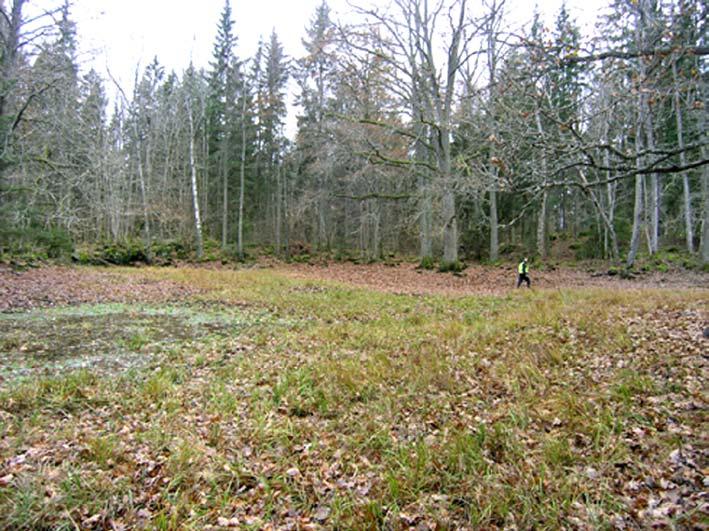 84. Småvatten i betad skog norr om Åbyberg Objektet utgörs av ett grundvattenberoende småvatten som omges av blandskog och öppna gräsmarker.