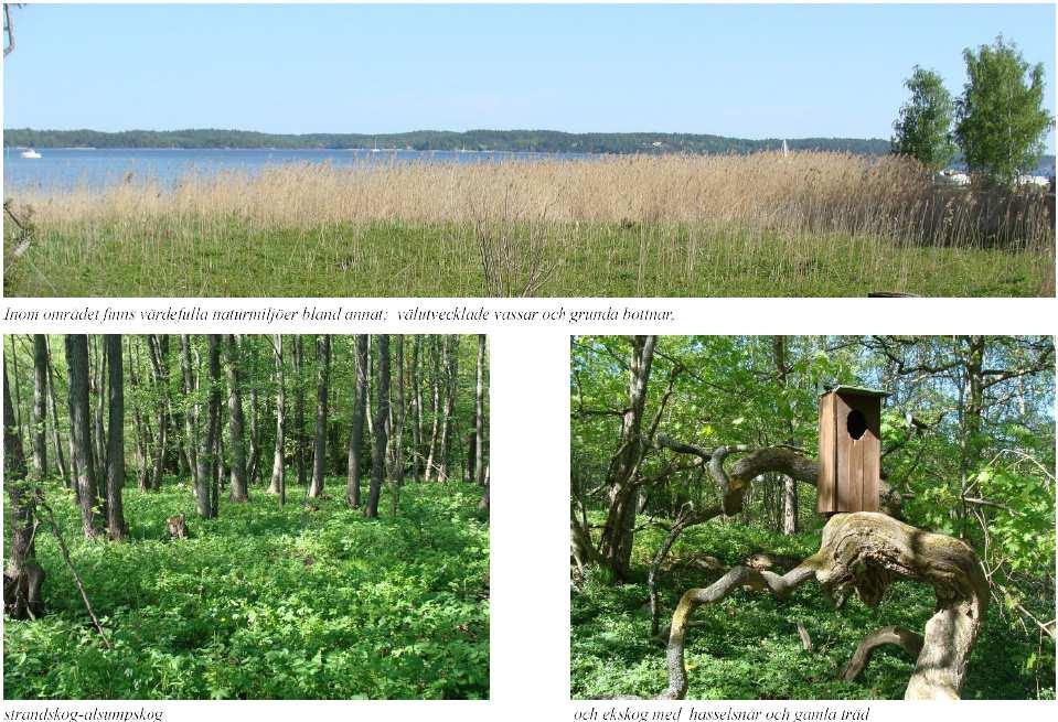 Sydöstra Boo upplevs som grönt men nästa all mark är privatägd och tillgång till allmänna parker och naturmark begränsad.