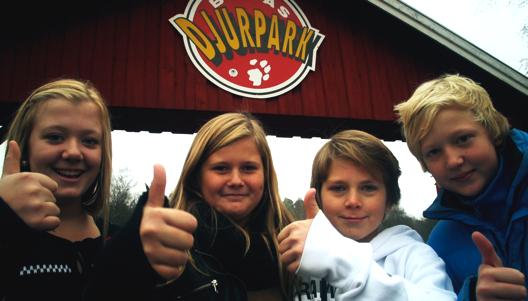 slutsatser. FRÅGORNA finns i TVÅ olika nivåer. Du som lärare väljer ut frågor som passar dina elever. Frågorna är kopplade till centralt innehåll i Lgr 11.