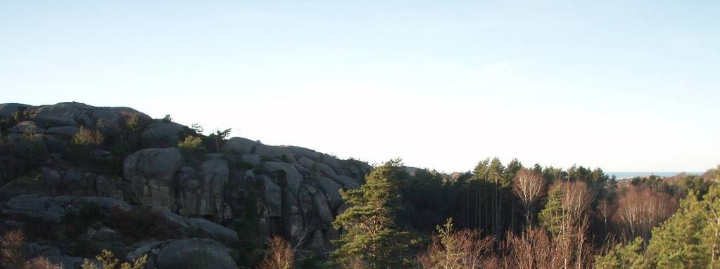 4. Hällmark Naturvärdesklass: Visst naturvärde klass 4. Dominerande naturtyp: öppen hällmark med trädvegetation på vissa delar.