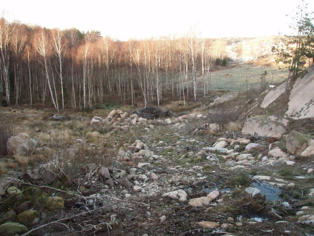 Den röjda marken i det norra delområdet, samt blandskog och åkermark i samma delområde. Naturvärdesobjekt 1. Bergvägg, nordvänd Naturvärdesklass: Påtagligt naturvärde klass 3.