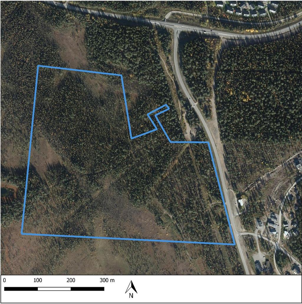 1 Inledning På uppdrag av WSP Sverige AB har Pelagia Nature & Environment AB utfört en naturvärdesinventering inför detaljplaneläggning av ett 23 hektar stort område vid Repisvaara söder om Gällivare