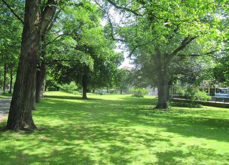 Diskussion och slutsatser Många av Göteborgs parker och grönområden har rika förekomster av grova, äldre ädellövträd med förekomst av sällsynta och rödlistade vedsvampar.