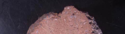 Den brända leran Fragmentet från Fnr 2701 (SL13000) består av en siltrik mellanlera med två sliror av något grövre, sandig lera. Den maximala kornstorleken är 2 mm (Fig. 7).