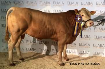 Utrop nr 5 Fritt Val Katslösa Blonde och Simmental tjur och kvigkalvar födda 2018 Säljare: Gert Nilsson Tel : Gert 070-6378910, Mikael 070-3870099 Utropspris : 20 000 kr En unik möjlighet att välja