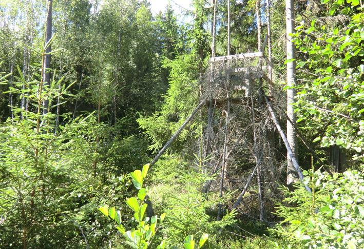 Natur & kultur Inägomark Inägomarken uppgår enligt skogsbruksplanen till 19,3 ha och är muntligt upplåten till två olika brukare.