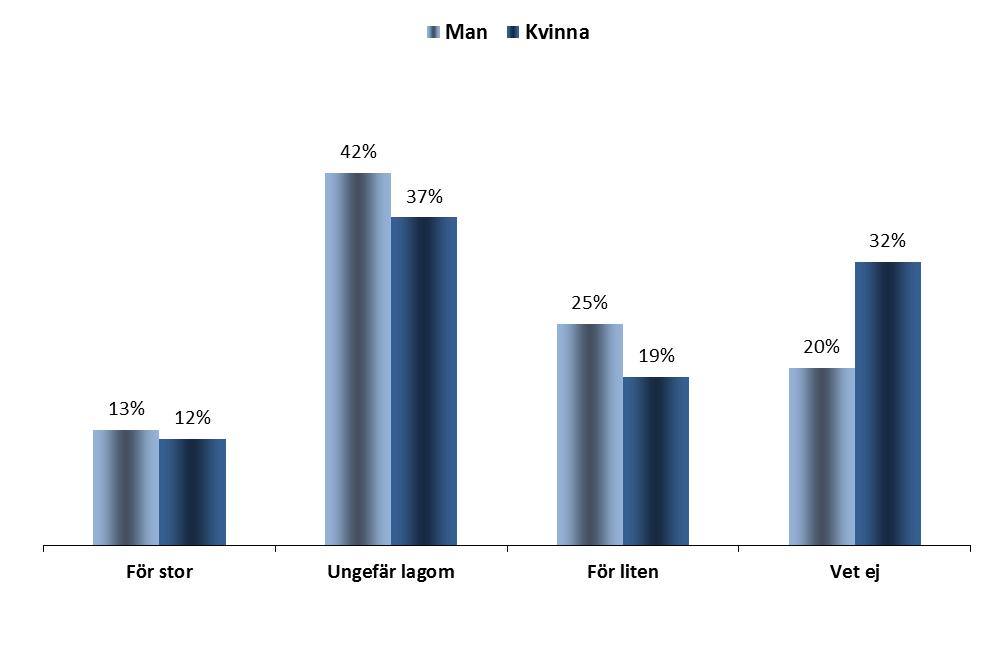 Kön EU:S BUDGET FOKUS KÖN 1.