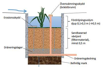 näringsämnen och tungmetaller, vilket bidrar med både en fördröjning och en renande förmåga. Lämpligt växtmaterial är till exempel starr, gräsväxter och örter som trivs i fuktängar.