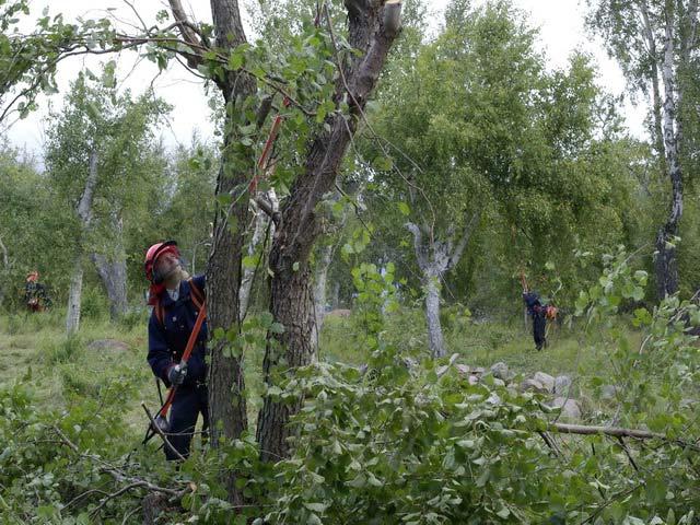 14 Arbetsmomentet hamling kräver både kunskaper, arbetsredskap och tid. För mer information hänvisas till miljöbyråns hemsida: Allmän information om naturvården (NATURA 2000, Naturreservat, etc.) www.