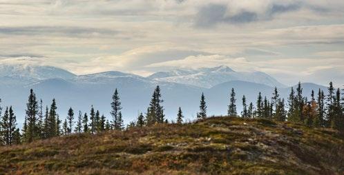 Conscious hunting Produkter som fungerar bra i skogen fungerar ofta bra för jakt. Det är förmodligen en av anledningarna till att jägare över hela världen länge uppskattat Fjällräven.