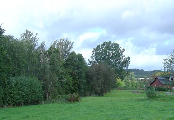 A = Allmänt ändamål B = Bostadsändamål Jm = Småindustriändamål FÖRUTSÄTTNINGAR OCH FÖRÄNDRINGAR Mark och vegetation På större delen av fastigheten Marbäck 13:28 är det idag en stor gräsyta.