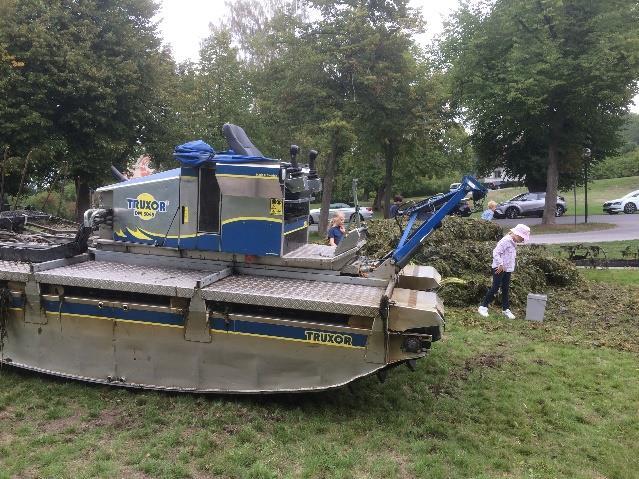 Rensning av Ruddammen Ruddammen i Ulriksdalsparken renoverades 2014. Tidigare var dammen omgiven av tät vegetation av vass, vilket gjorde det svårt att håva där.