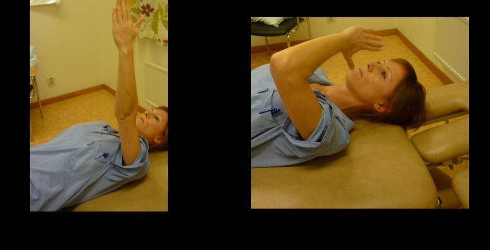 Flexion Armbågens rörelser