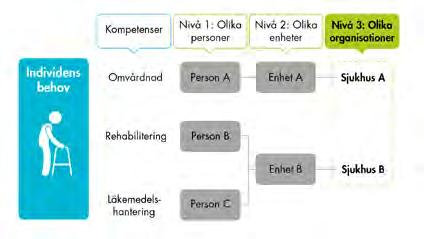 Ytterligare en utmaning som kan uppstå är när individens behov av olika kompetenser även är samlade hos olika professioner.